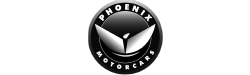 Phoenix Motorcars 凤凰汽车