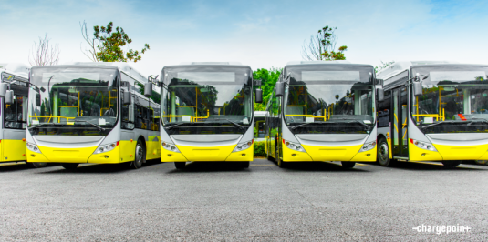 Fleet of buses